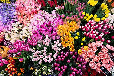 《DOTA2》TI12淘汰赛：前TI11卫冕冠军Tundra出局